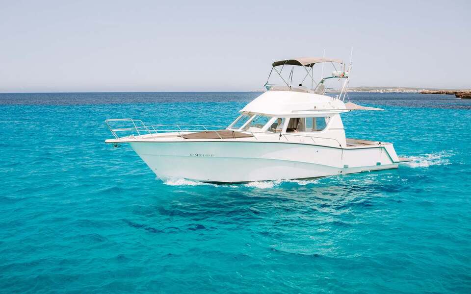 Barco Rodman 1250