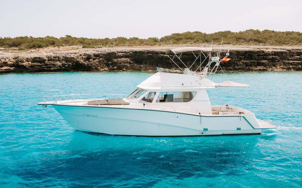 Barco Rodman 1250