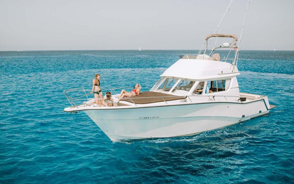 Barco Rodman 1250
