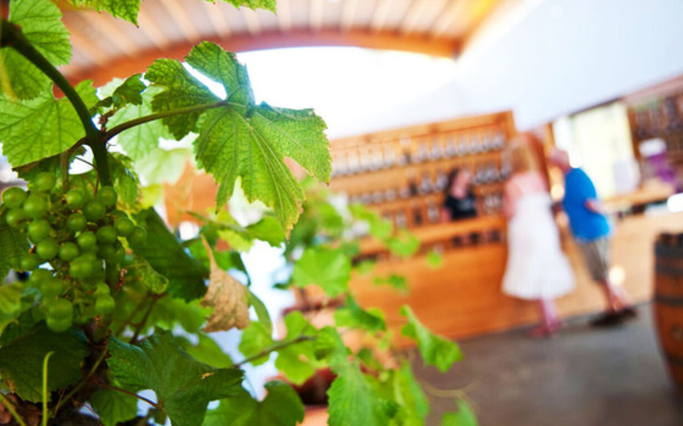 Bodegas Binifatet