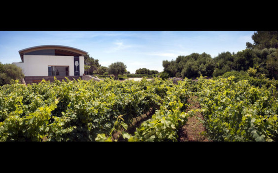 Bodegas Binifatet
