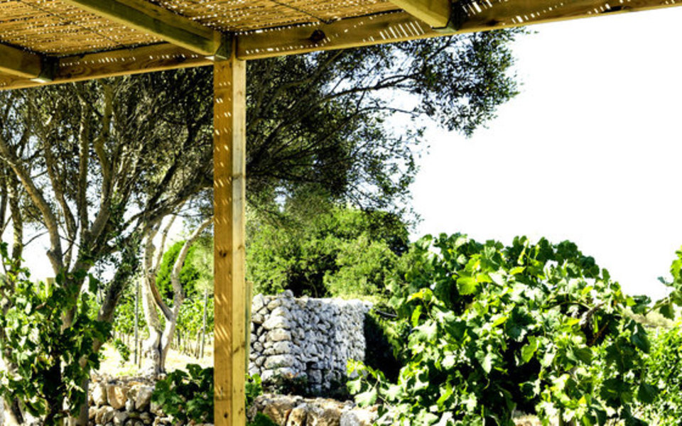 Bodegas Binifatet