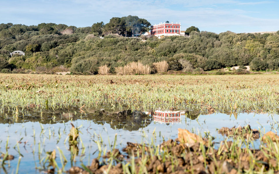 Degustación de productos en Menorca