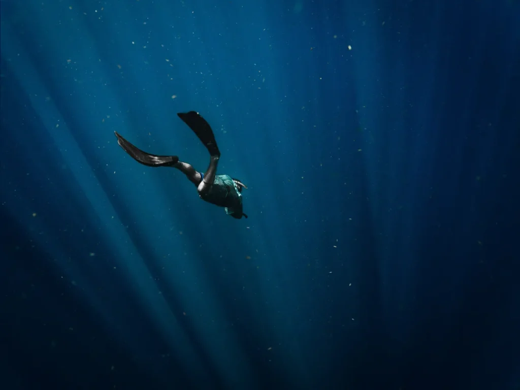 Buceo